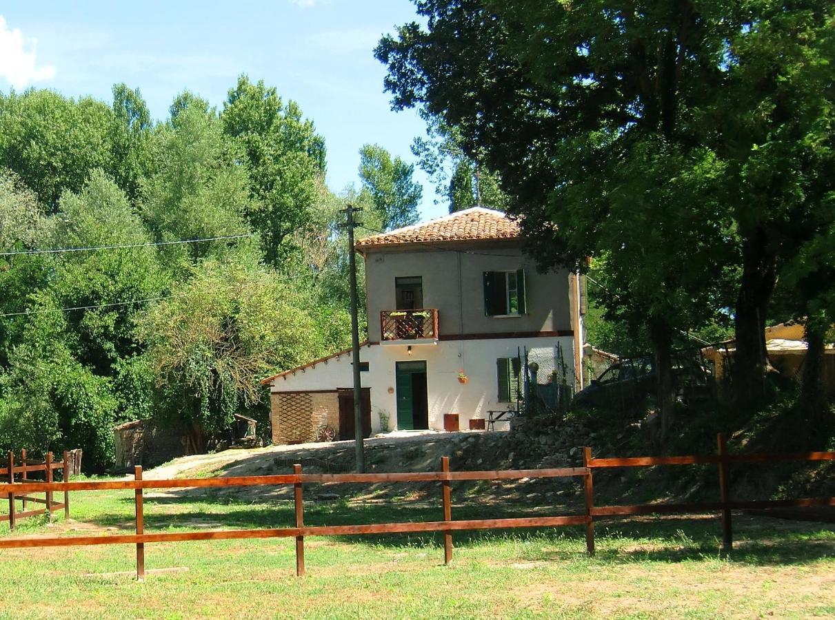 Ca' Perucci Pension Urbino Buitenkant foto
